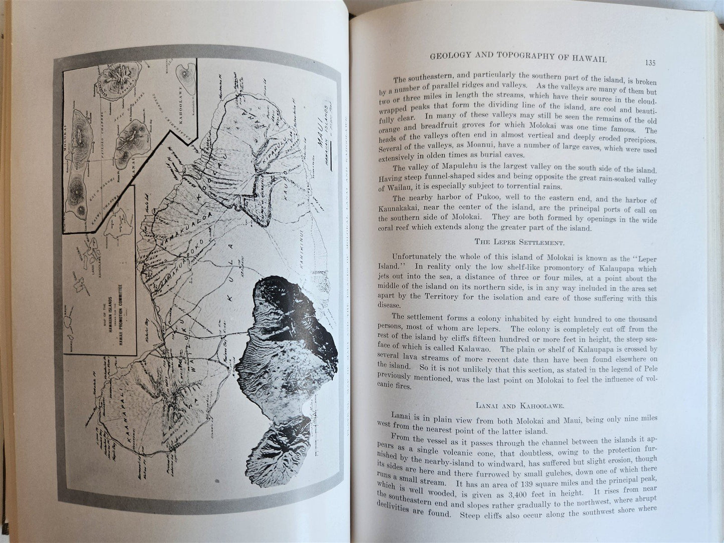 1915 NATURAL HISTORY of HAWAII antique ILLUSTRATED