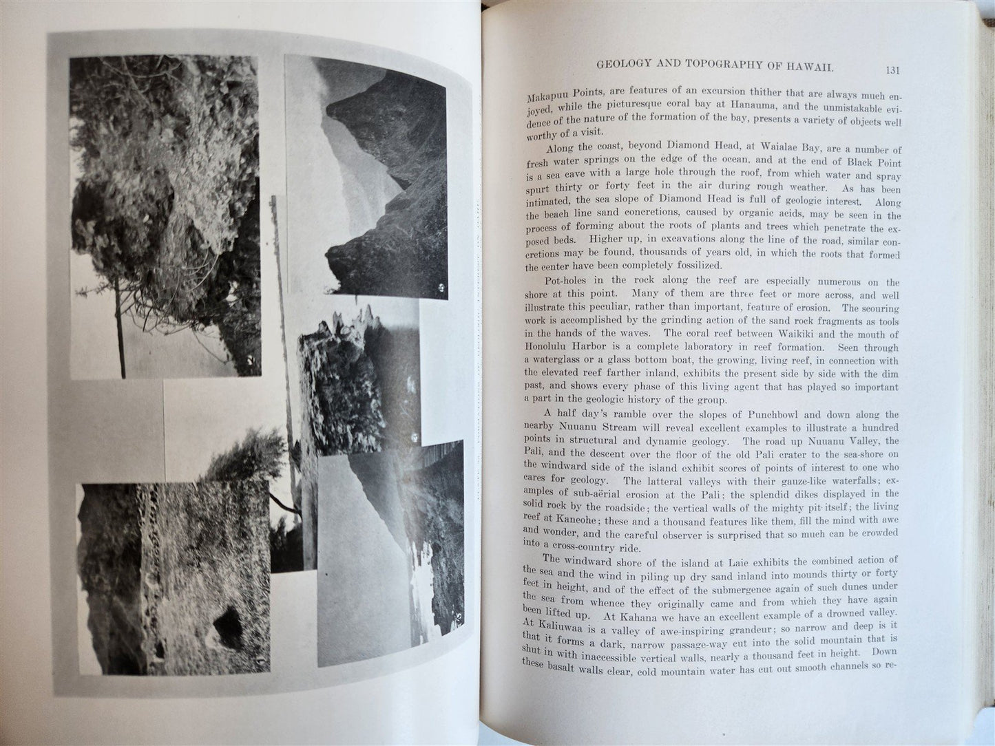 1915 NATURAL HISTORY of HAWAII antique ILLUSTRATED