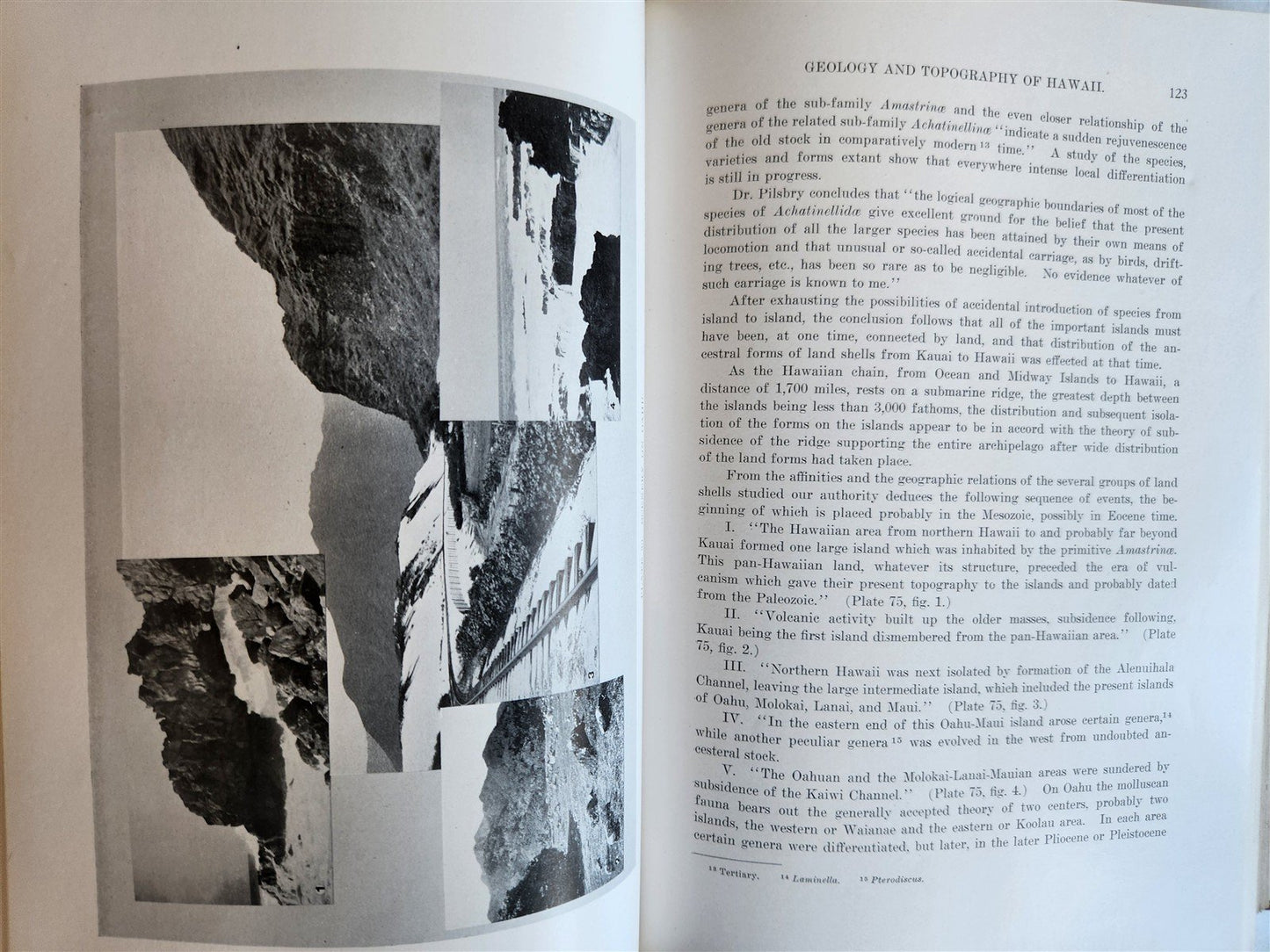 1915 NATURAL HISTORY of HAWAII antique ILLUSTRATED