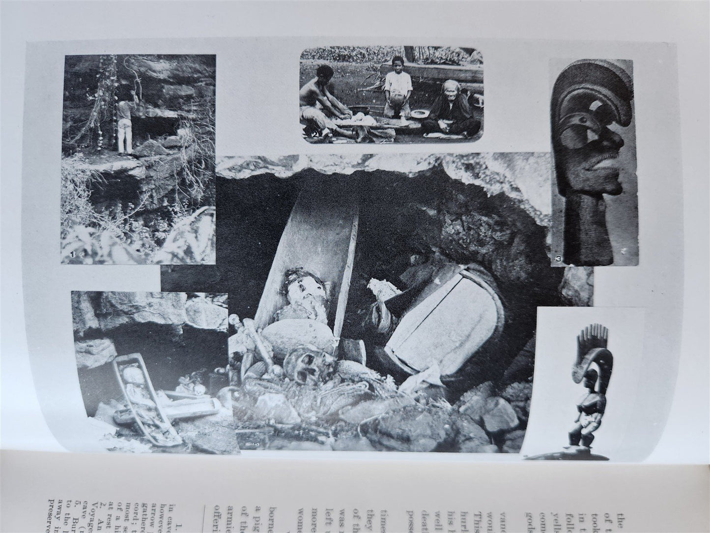 1915 NATURAL HISTORY of HAWAII antique ILLUSTRATED