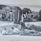 1915 NATURAL HISTORY of HAWAII antique ILLUSTRATED
