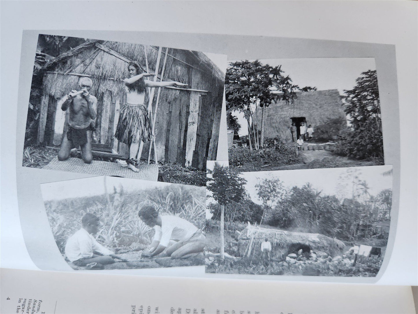 1915 NATURAL HISTORY of HAWAII antique ILLUSTRATED