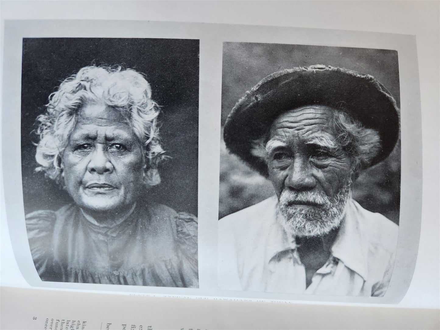 1915 NATURAL HISTORY of HAWAII antique ILLUSTRATED