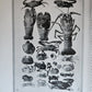 1915 NATURAL HISTORY of HAWAII antique ILLUSTRATED