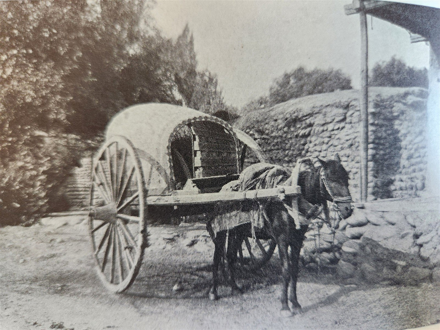 1941 FROM SAMARKAND to PEKING by Mannerheim antique in DANISH ILLUSTRATED