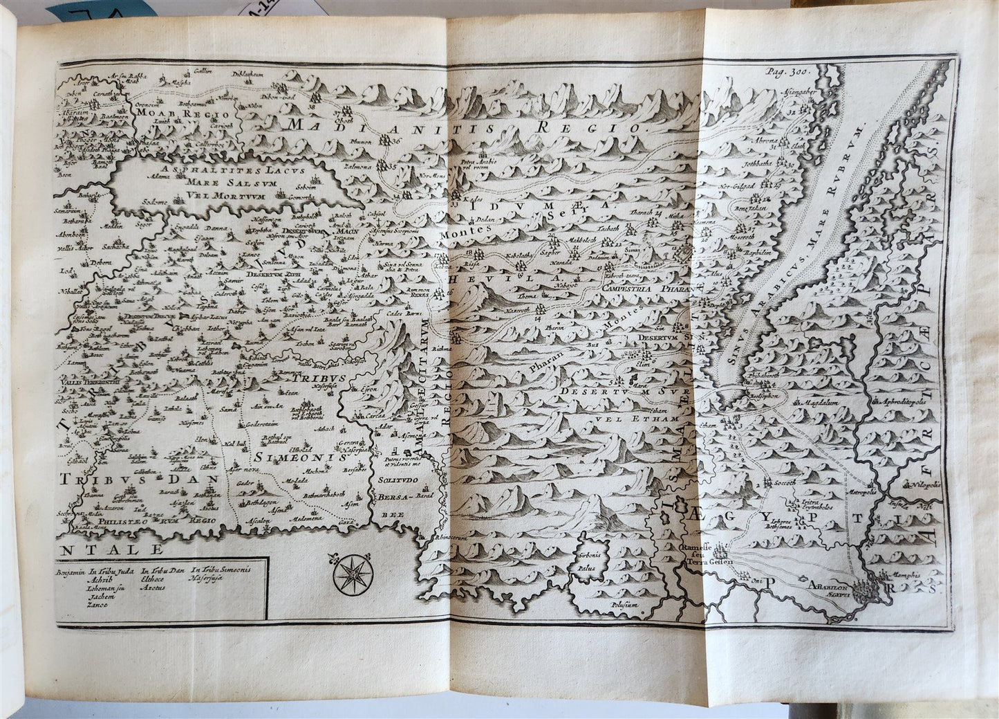 1709 BIBLE in GREEK ILLUSTRATED w/ MAPS antique GILT DECORATED VELLUM BINDING