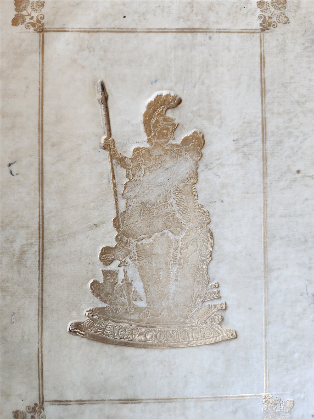 1709 BIBLE in GREEK ILLUSTRATED w/ MAPS antique GILT DECORATED VELLUM BINDING