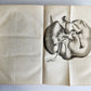 1761 MEDICAL TREATISE ILLUSTRATED ANATOMY by Francois PLANQUE antique V.6