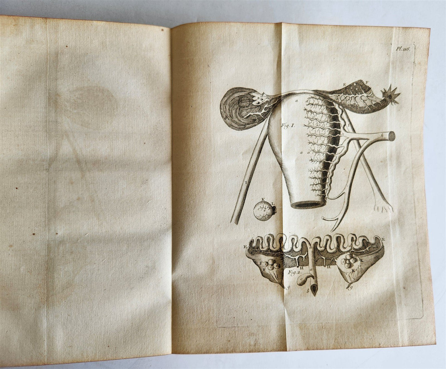 1761 MEDICAL TREATISE ILLUSTRATED ANATOMY by Francois PLANQUE antique V.6