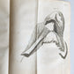 1761 MEDICAL TREATISE ILLUSTRATED ANATOMY by Francois PLANQUE antique V.6