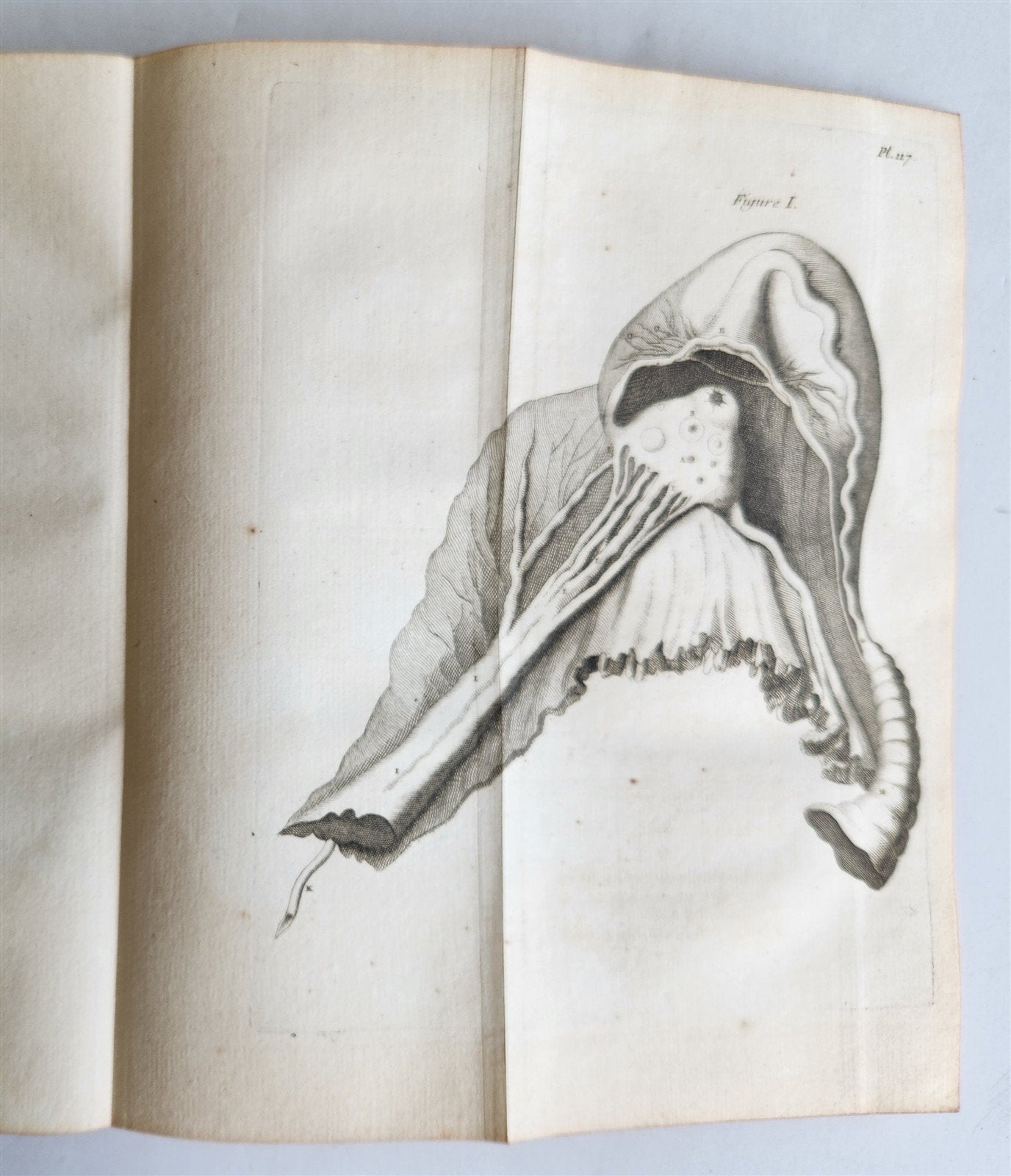 1761 MEDICAL TREATISE ILLUSTRATED ANATOMY by Francois PLANQUE antique V.6