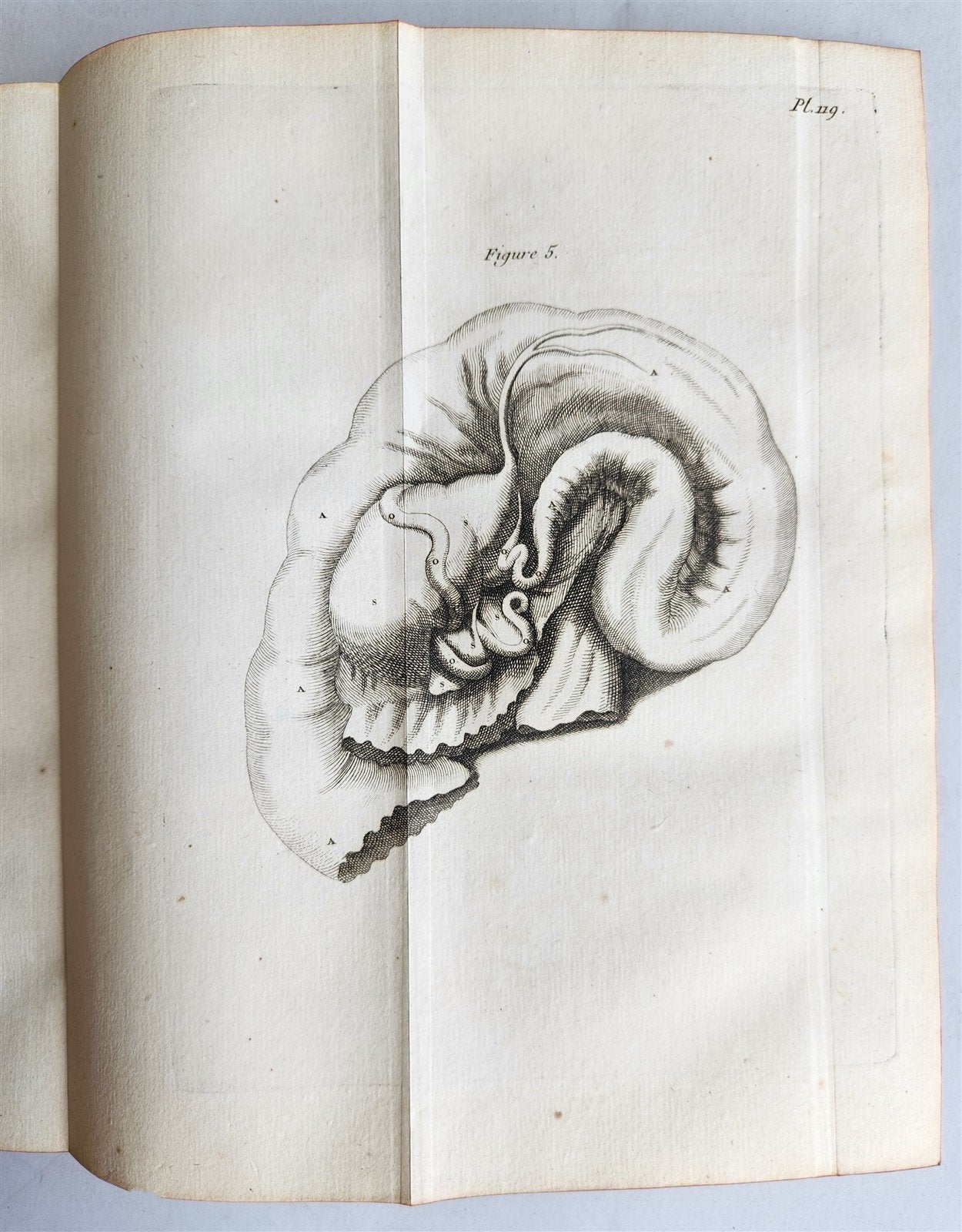 1761 MEDICAL TREATISE ILLUSTRATED ANATOMY by Francois PLANQUE antique V.6
