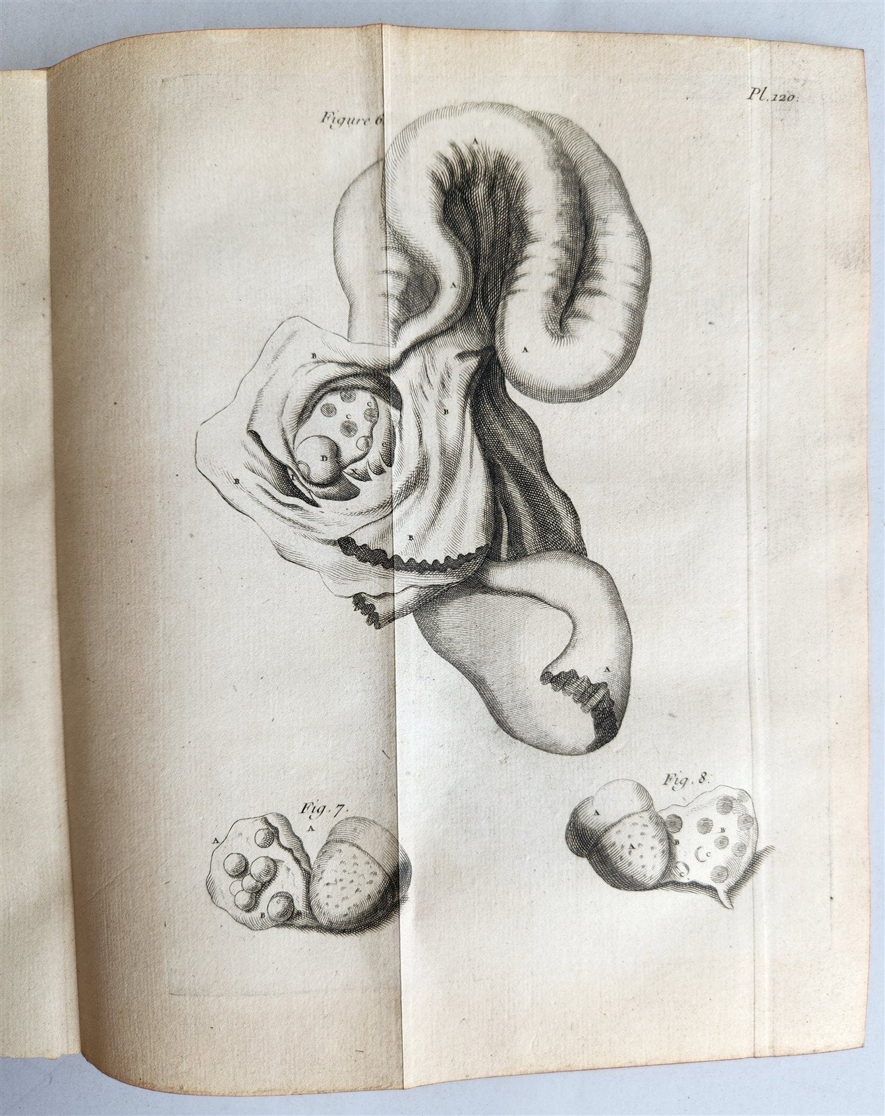 1761 MEDICAL TREATISE ILLUSTRATED ANATOMY by Francois PLANQUE antique V.6