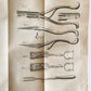 1761 MEDICAL TREATISE ILLUSTRATED ANATOMY by Francois PLANQUE antique V.6