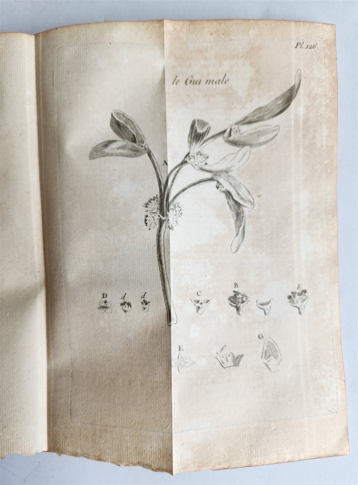 1761 MEDICAL TREATISE ILLUSTRATED ANATOMY by Francois PLANQUE antique V.6