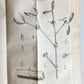 1761 MEDICAL TREATISE ILLUSTRATED ANATOMY by Francois PLANQUE antique V.6