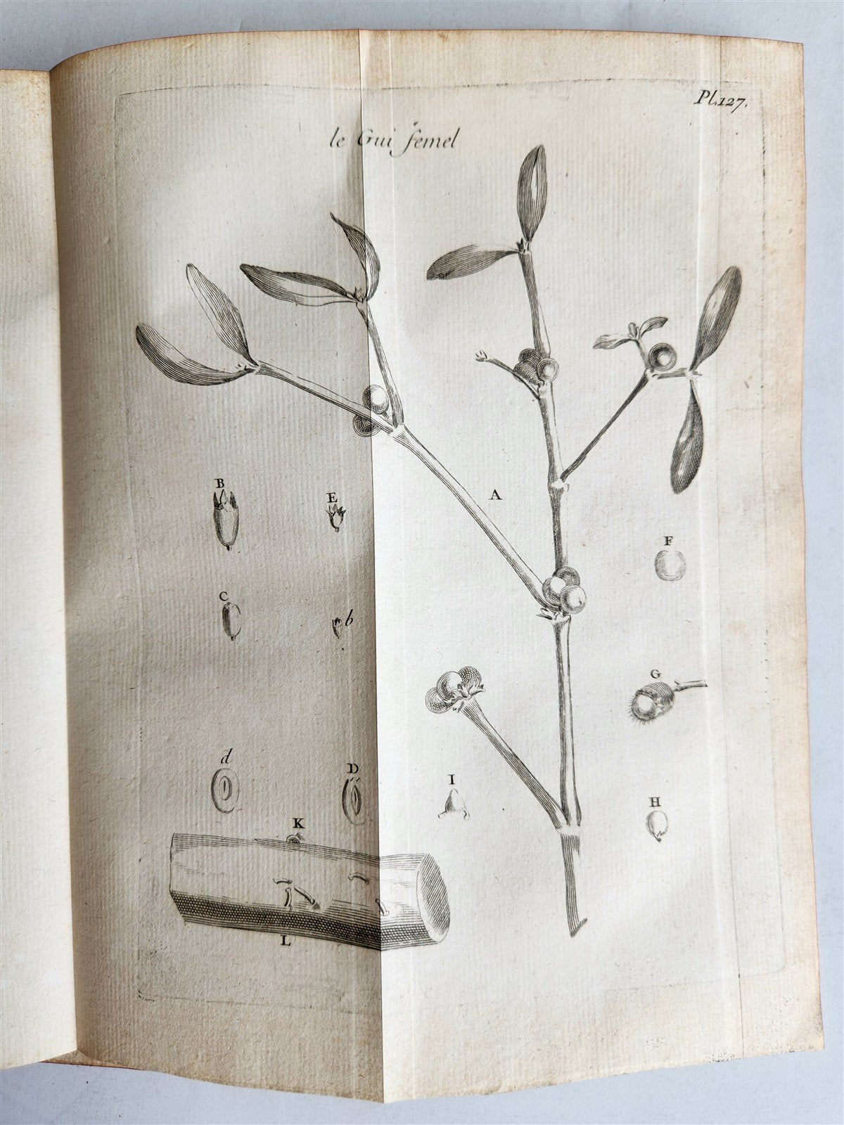 1761 MEDICAL TREATISE ILLUSTRATED ANATOMY by Francois PLANQUE antique V.6