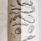 1761 MEDICAL TREATISE ILLUSTRATED ANATOMY by Francois PLANQUE antique V.6