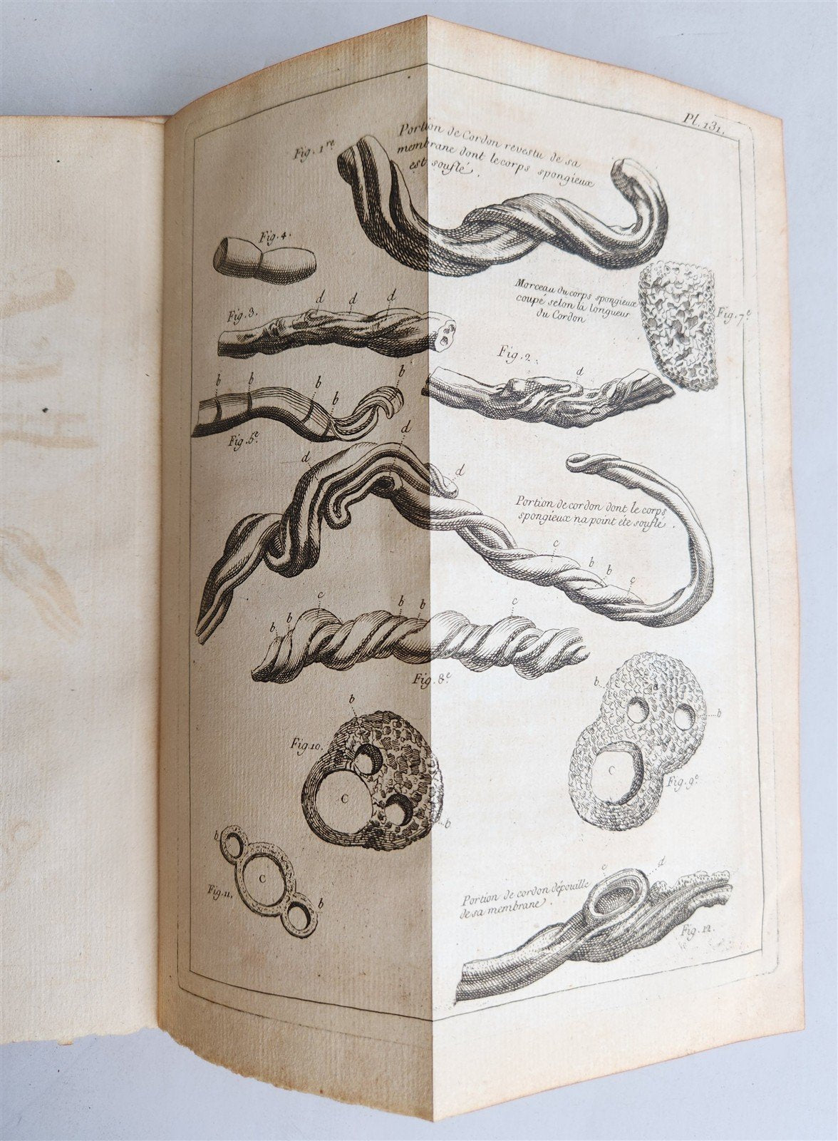 1761 MEDICAL TREATISE ILLUSTRATED ANATOMY by Francois PLANQUE antique V.6