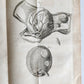 1761 MEDICAL TREATISE ILLUSTRATED ANATOMY by Francois PLANQUE antique V.6