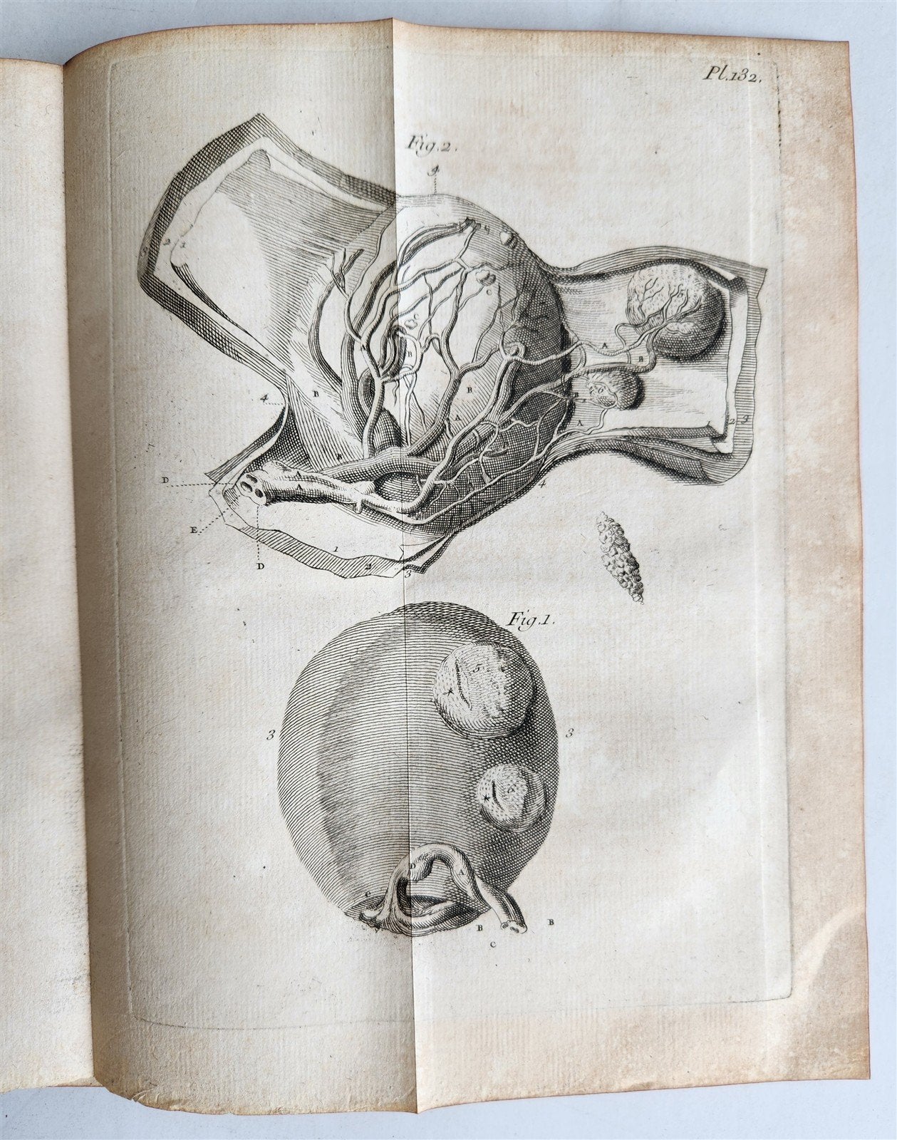 1761 MEDICAL TREATISE ILLUSTRATED ANATOMY by Francois PLANQUE antique V.6
