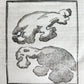 1763 MEDICAL TREATISE ILLUSTRATED ANATOMY by Francois PLANQUE antique V. 8