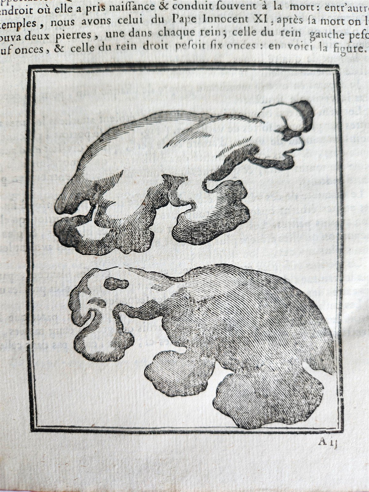 1763 MEDICAL TREATISE ILLUSTRATED ANATOMY by Francois PLANQUE antique V. 8
