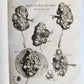 1763 MEDICAL TREATISE ILLUSTRATED ANATOMY by Francois PLANQUE antique V. 8