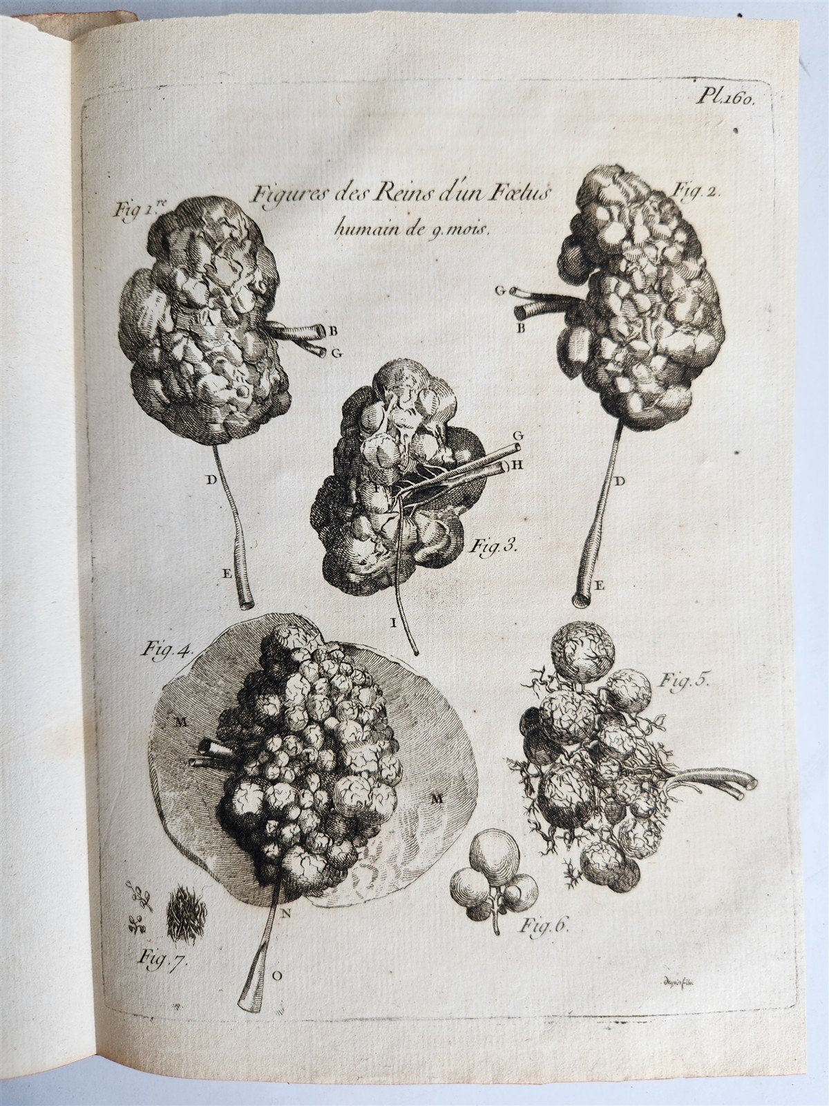1763 MEDICAL TREATISE ILLUSTRATED ANATOMY by Francois PLANQUE antique V. 8