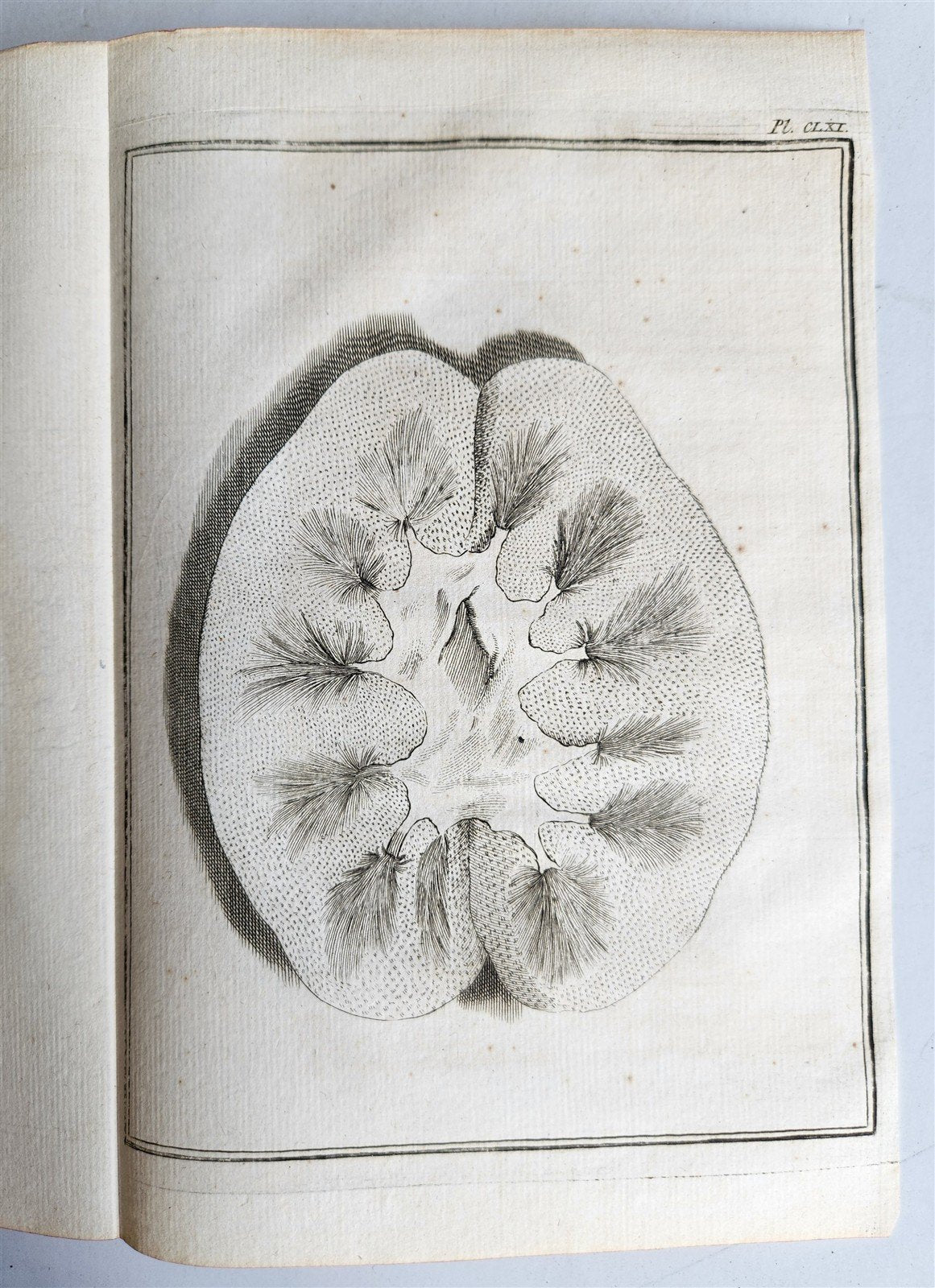 1763 MEDICAL TREATISE ILLUSTRATED ANATOMY by Francois PLANQUE antique V. 8