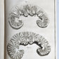 1763 MEDICAL TREATISE ILLUSTRATED ANATOMY by Francois PLANQUE antique V. 8