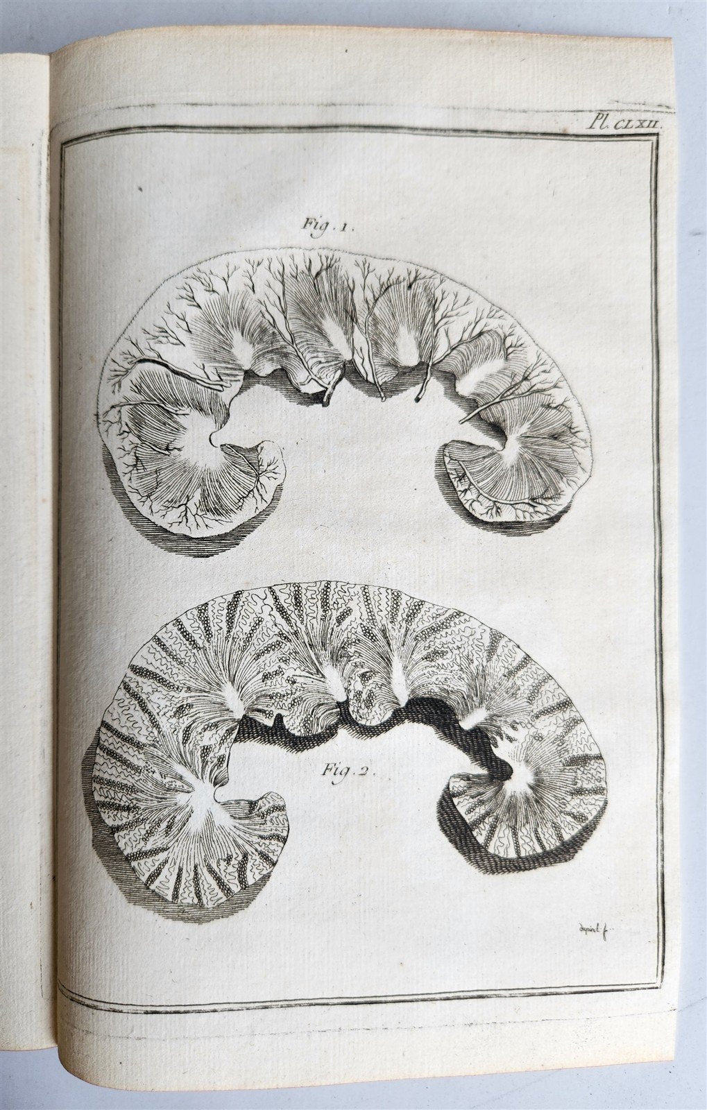 1763 MEDICAL TREATISE ILLUSTRATED ANATOMY by Francois PLANQUE antique V. 8