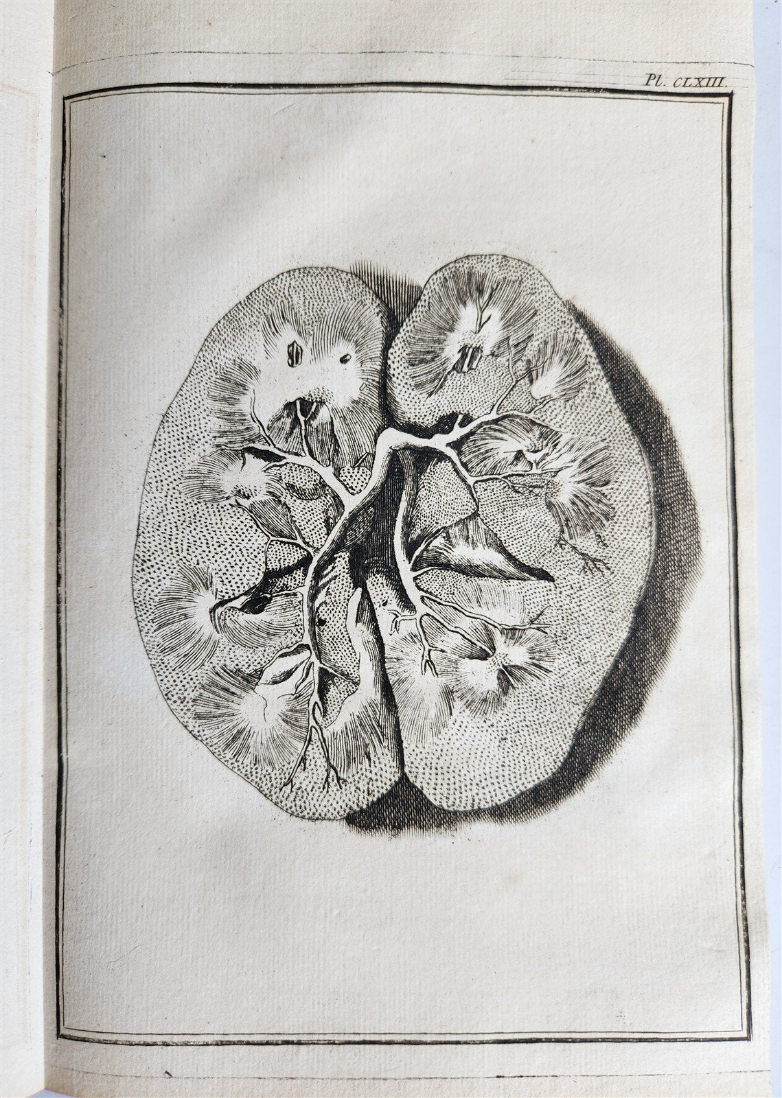 1763 MEDICAL TREATISE ILLUSTRATED ANATOMY by Francois PLANQUE antique V. 8