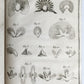 1763 MEDICAL TREATISE ILLUSTRATED ANATOMY by Francois PLANQUE antique V. 8