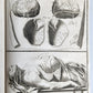 1763 MEDICAL TREATISE ILLUSTRATED ANATOMY by Francois PLANQUE antique V. 8