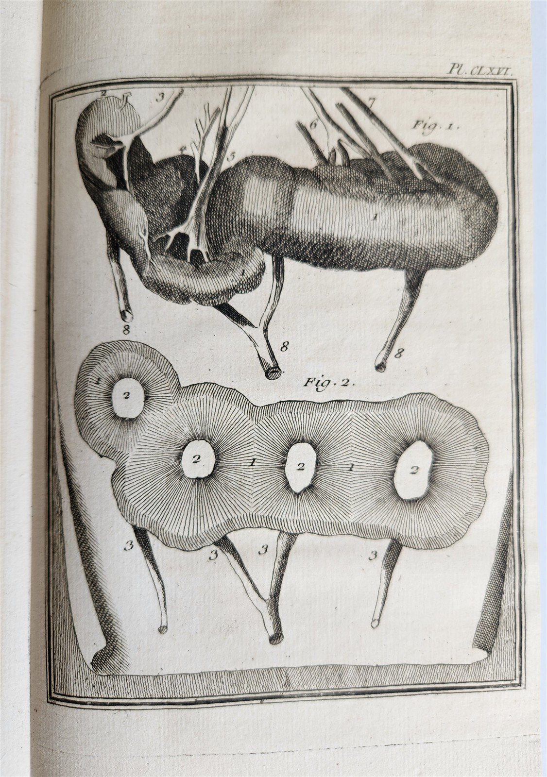 1763 MEDICAL TREATISE ILLUSTRATED ANATOMY by Francois PLANQUE antique V. 8