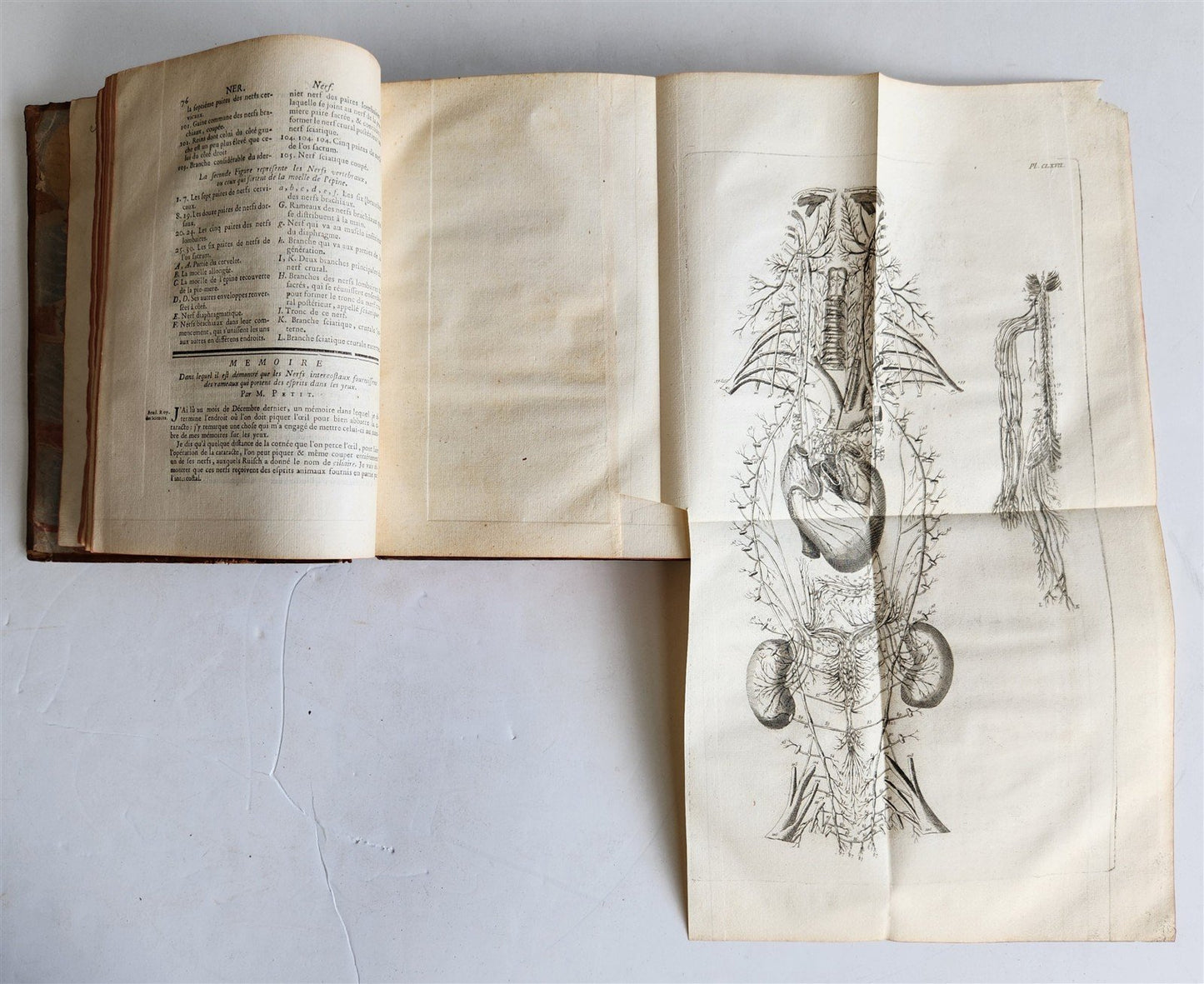 1763 MEDICAL TREATISE ILLUSTRATED ANATOMY by Francois PLANQUE antique V. 8