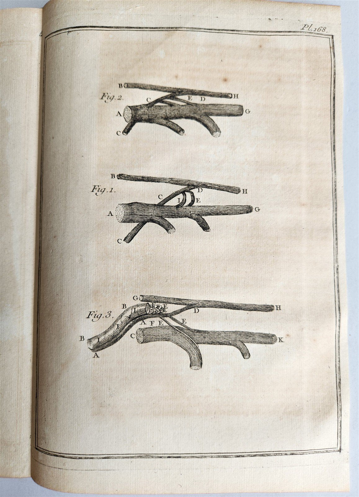 1763 MEDICAL TREATISE ILLUSTRATED ANATOMY by Francois PLANQUE antique V. 8
