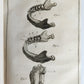 1763 MEDICAL TREATISE ILLUSTRATED ANATOMY by Francois PLANQUE antique V. 8