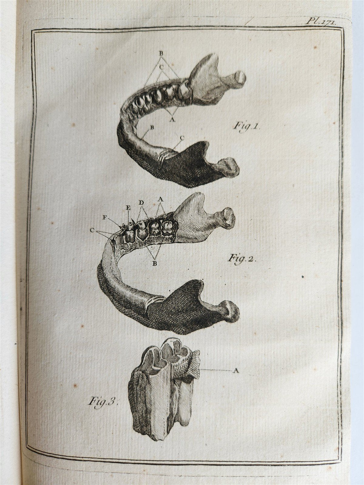 1763 MEDICAL TREATISE ILLUSTRATED ANATOMY by Francois PLANQUE antique V. 8