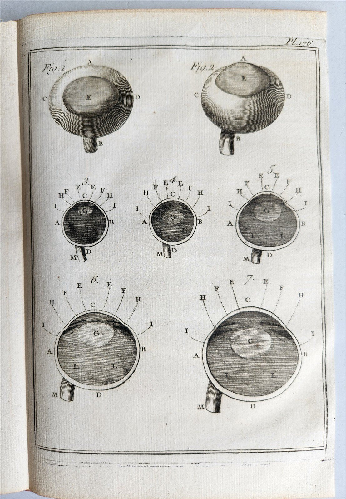 1763 MEDICAL TREATISE ILLUSTRATED ANATOMY by Francois PLANQUE antique V. 8