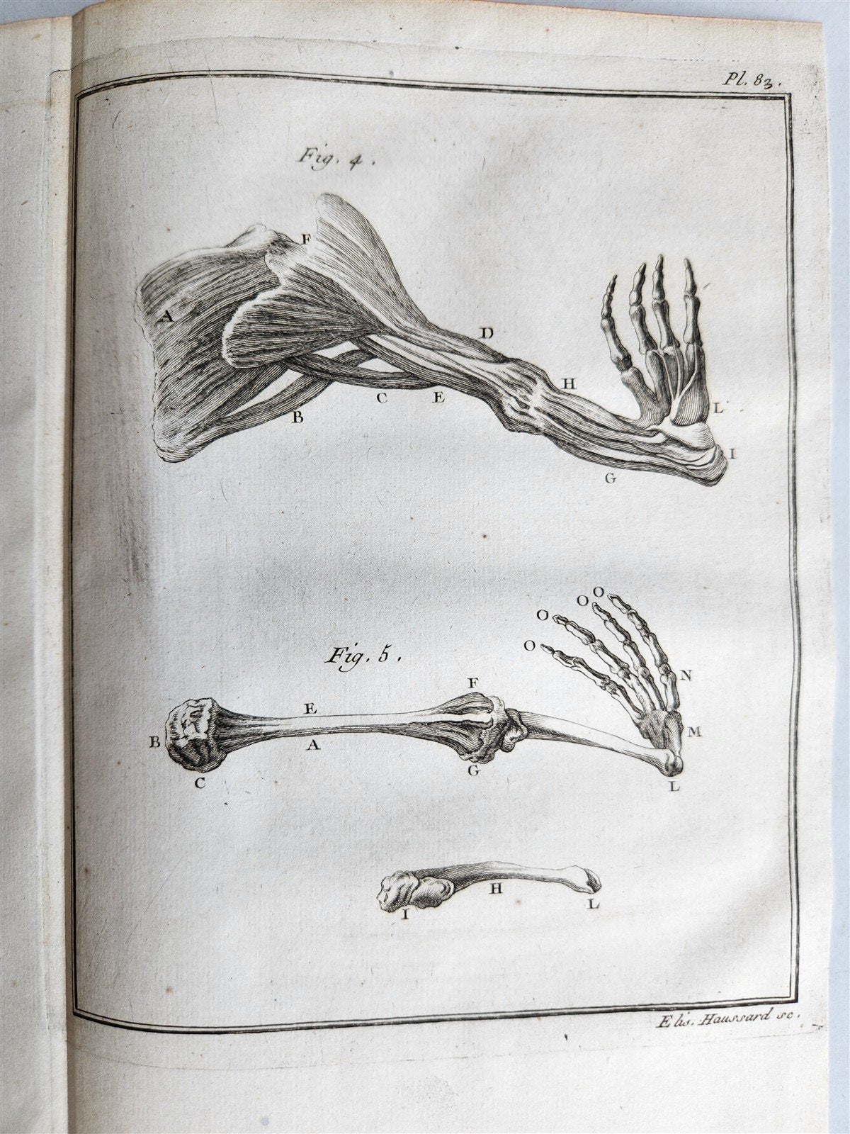 1753 MEDICAL TREATISE ILLUSTRATED ANATOMY by Francois PLANQUE antique V. 4