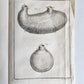 1753 MEDICAL TREATISE ILLUSTRATED ANATOMY by Francois PLANQUE antique V. 4