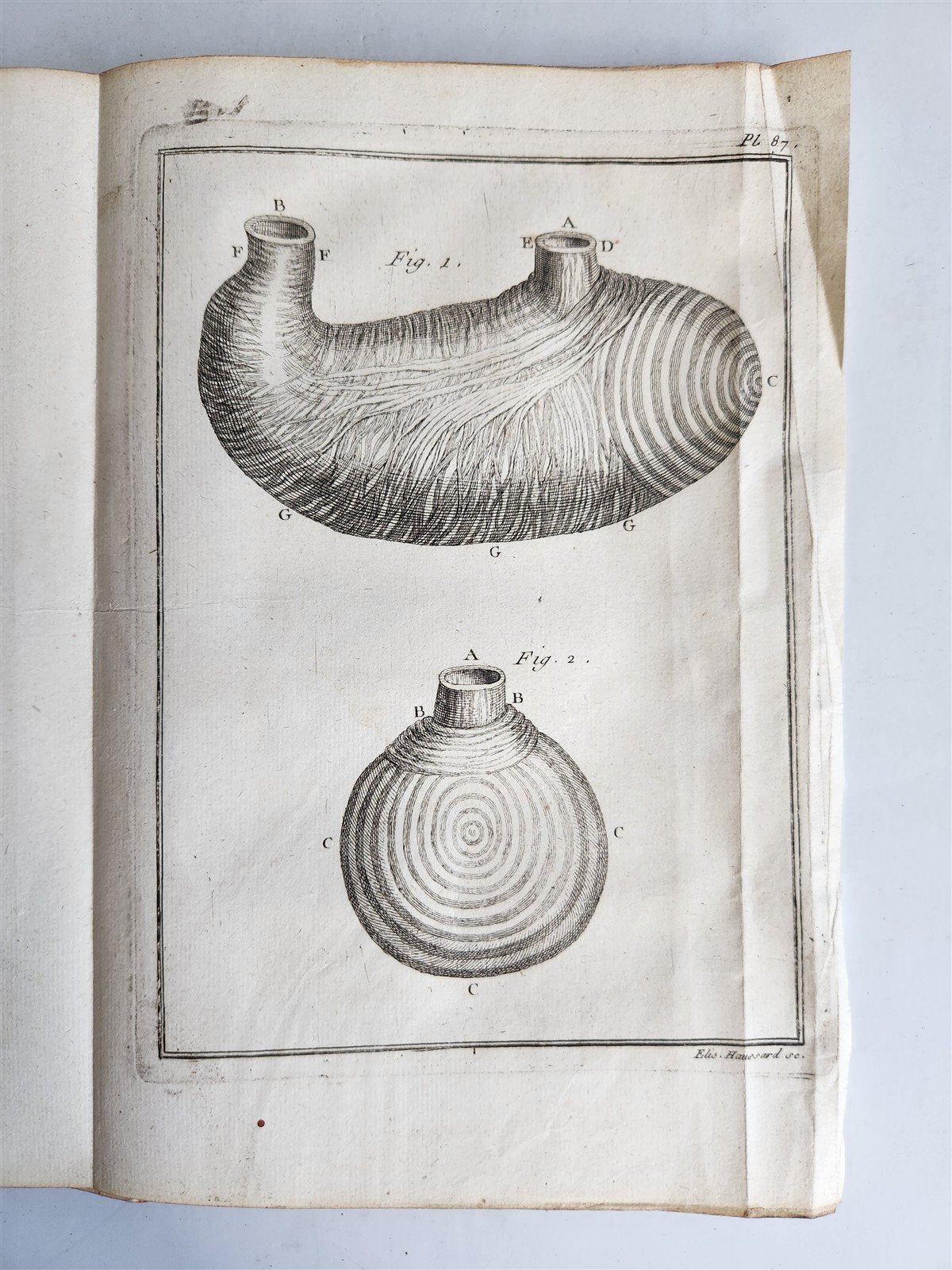 1753 MEDICAL TREATISE ILLUSTRATED ANATOMY by Francois PLANQUE antique V. 4