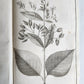 1753 MEDICAL TREATISE ILLUSTRATED ANATOMY by Francois PLANQUE antique V. 4
