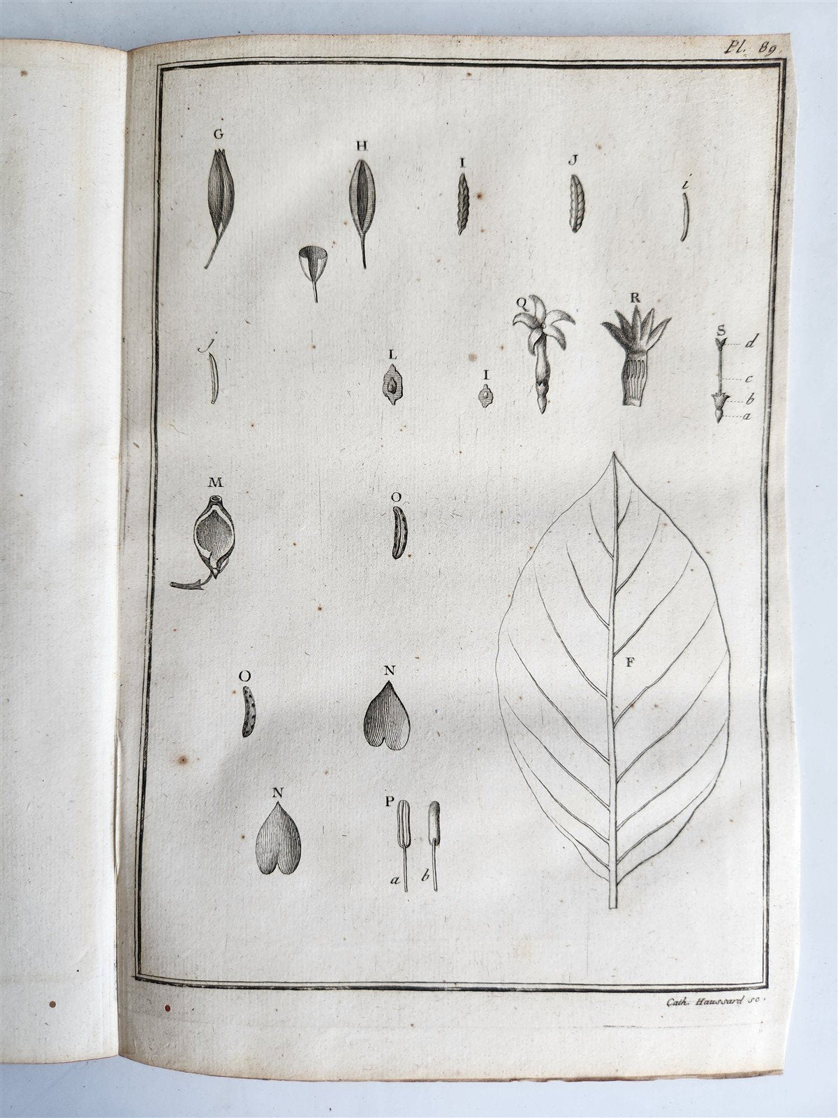 1753 MEDICAL TREATISE ILLUSTRATED ANATOMY by Francois PLANQUE antique V. 4