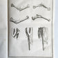 1753 MEDICAL TREATISE ILLUSTRATED ANATOMY by Francois PLANQUE antique V. 4