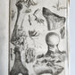1753 MEDICAL TREATISE ILLUSTRATED ANATOMY by Francois PLANQUE antique V. 4