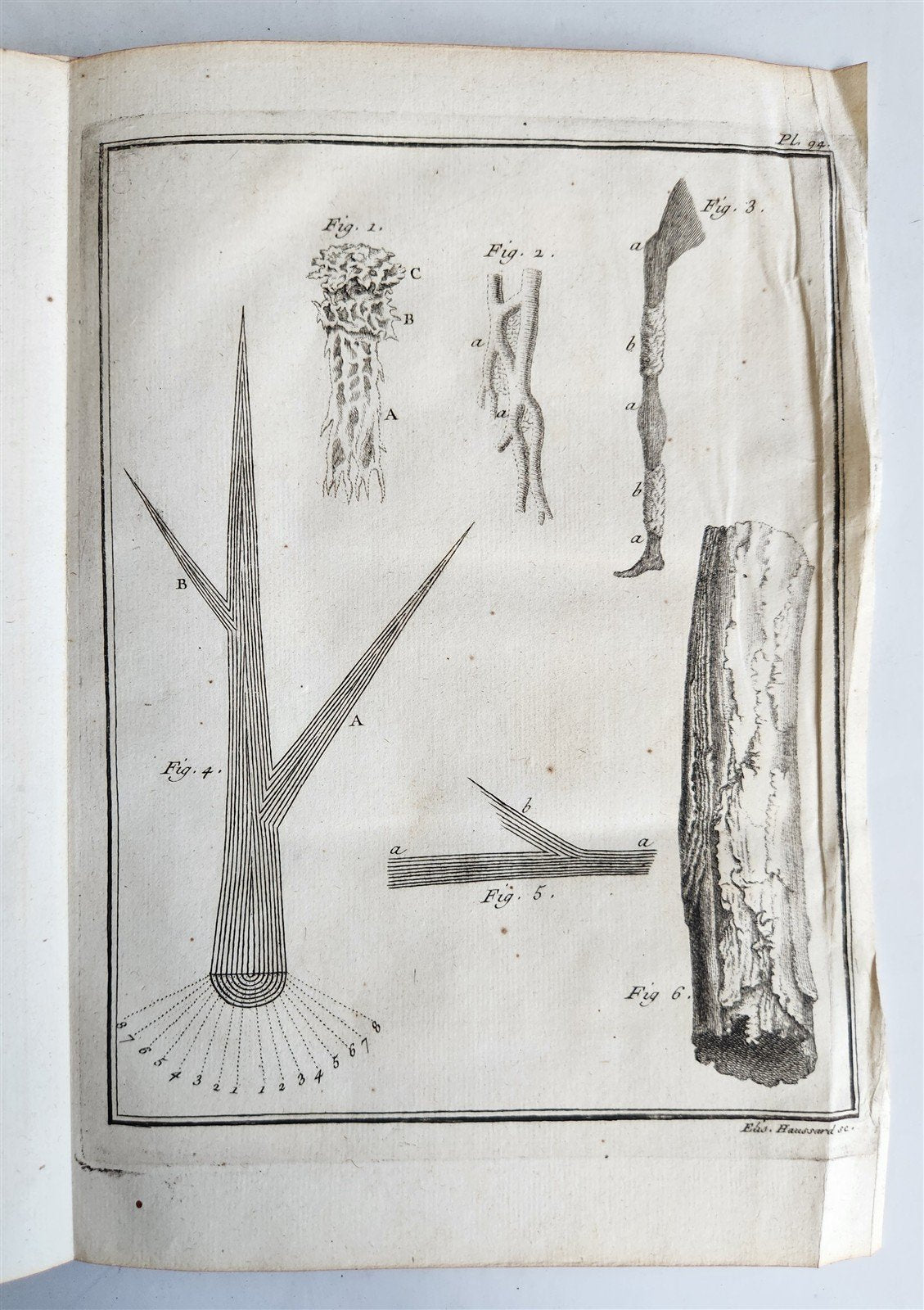 1753 MEDICAL TREATISE ILLUSTRATED ANATOMY by Francois PLANQUE antique V. 4
