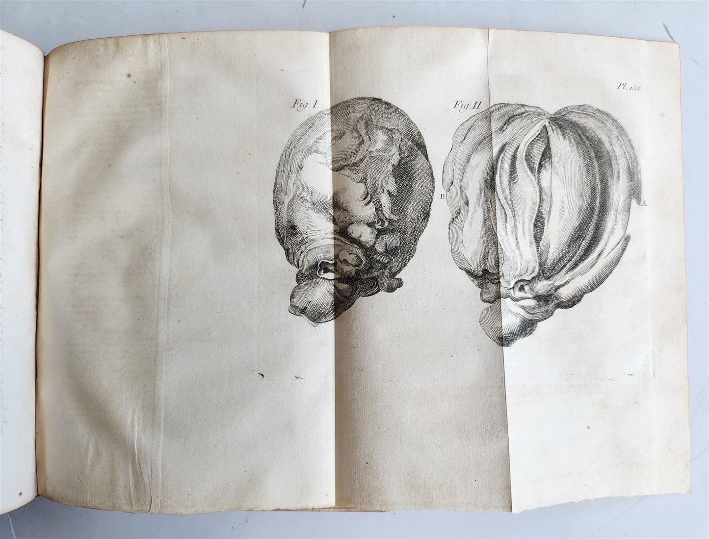1752 MEDICAL TREATISE ILLUSTRATED ANATOMY by Francois PLANQUE antique V. 7